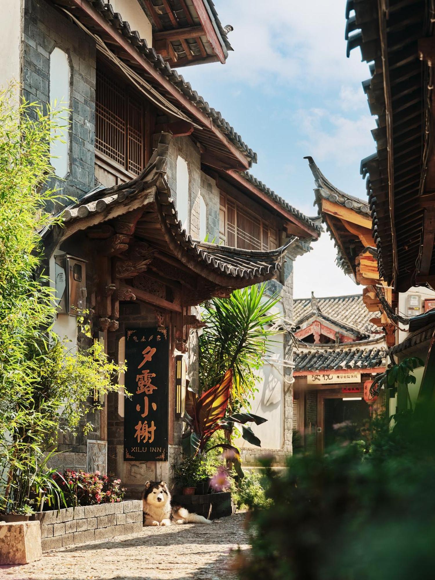 ליג'יאנג Xilu Xiaoxie Inn Old Town Lijiang מראה חיצוני תמונה