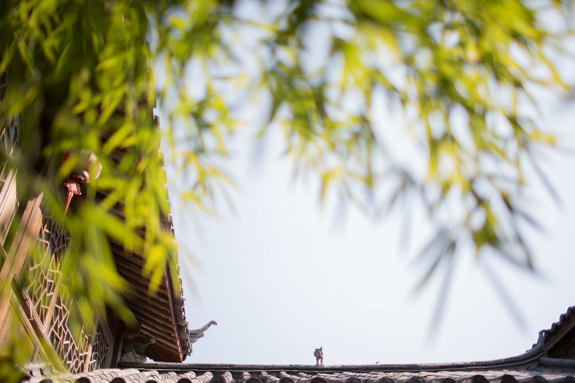ליג'יאנג Xilu Xiaoxie Inn Old Town Lijiang מראה חיצוני תמונה